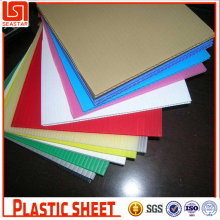 Professional custom unique twinwall polypropylene sheet