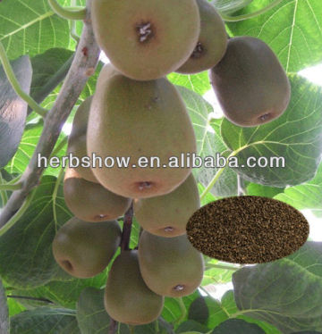 chinese goosebeery seeds/Kiwifruit seeds for sowing