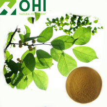 Mulberry Leaf Extract 1-Deoxynojimycin