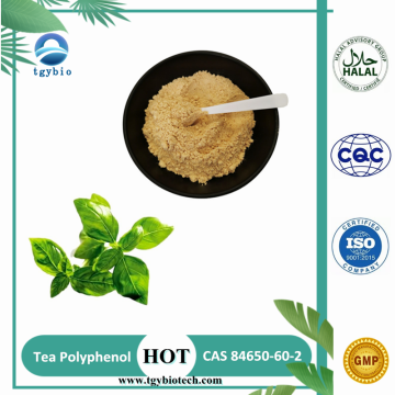 Natural 98% Tea polyphenol Green Tea Extract Powder