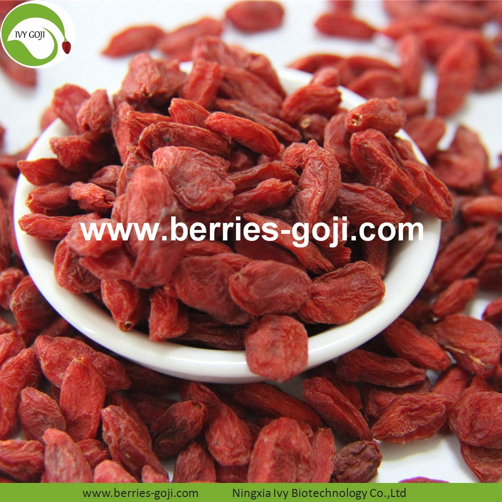 Goji-Beeren goji berry