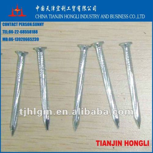 2" Galvanized Steel Nails