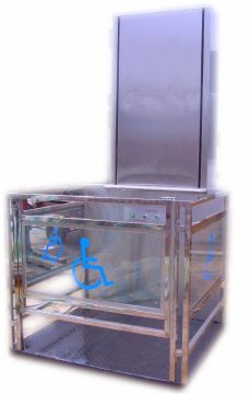 160kg Electric Handicap Lift Equipment