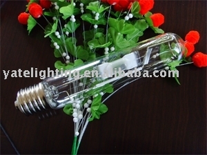 metal halide bulb