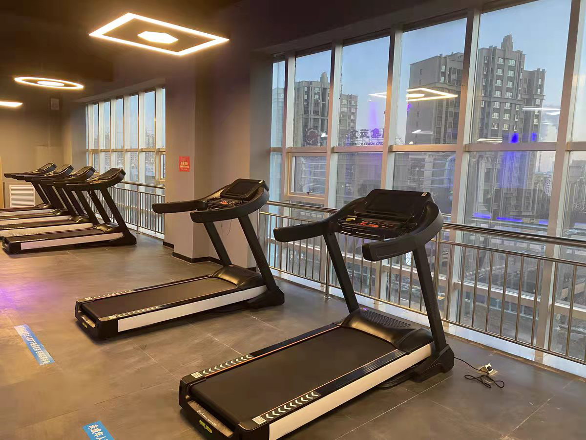 Cardio Training Treadmill 8809
