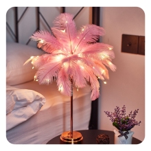 Ostrich Feather LED Night Light