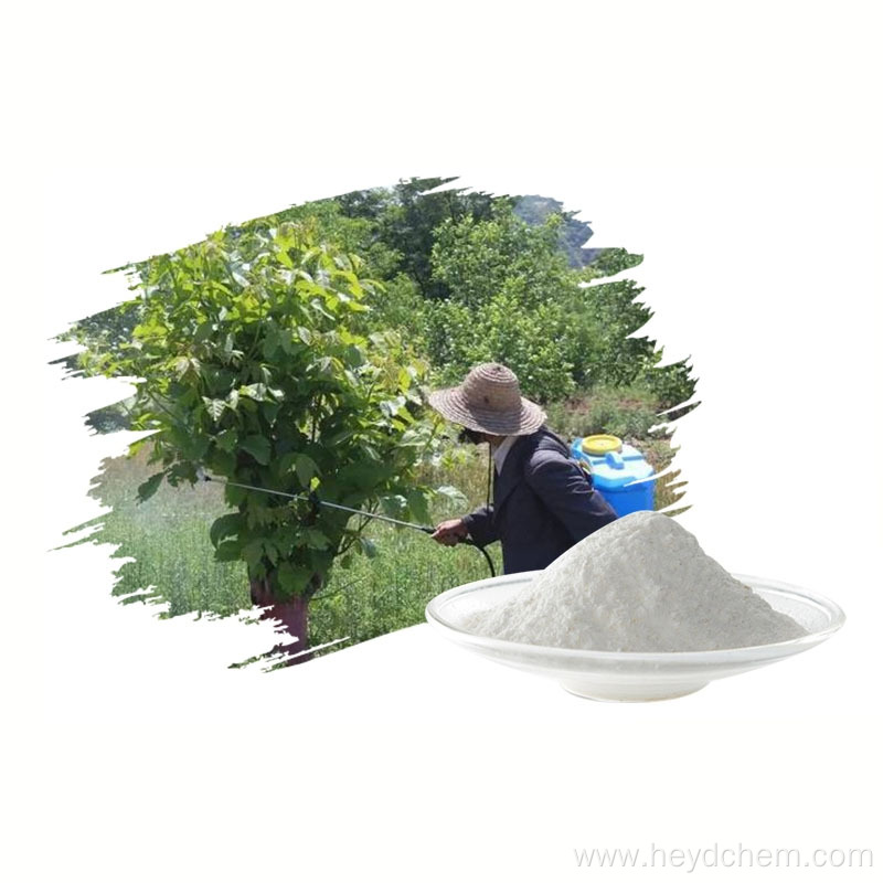 Hot sell insecticide Deltamethrin 98% TC