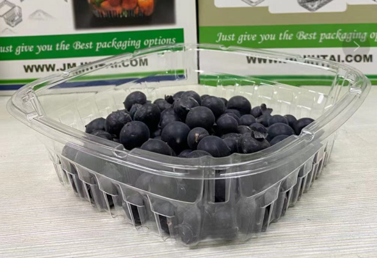 Innovative fruit packaging box: extend shelf life and reduce waste