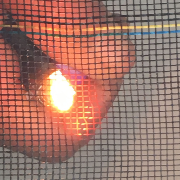 Fiberglass Sunscreen Window Net