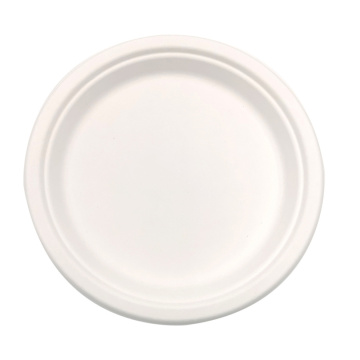 9 inch Disposable Paper Container Biodegradable Plate