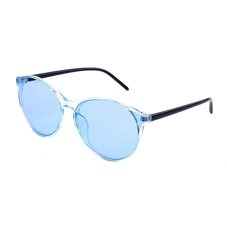 PC Frame with Temple PC Lense Metal Hinge Sunglass