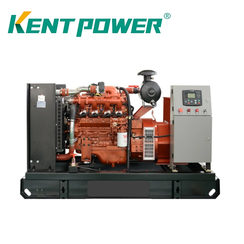 50kVA 75kVA 100kVA Smaller Power Open Type Bio Gas Generator Mass Genset