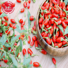 Giá thấp mẫu miễn phí thấp thuốc trừ sâu Goji Berries