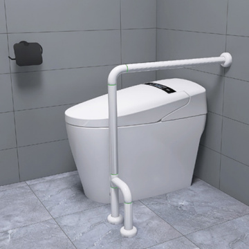 Stainless Steel Toilet Handicap Grab Bar