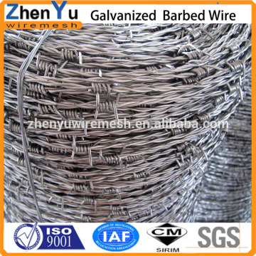 export galvanized barbed wire/electro galvanized barbed wire manufacture with lowes price