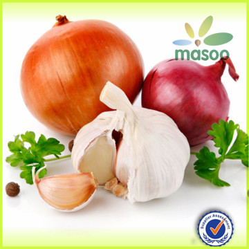 buy onion, yellow onion