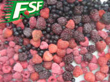 IQF Mixed Berries