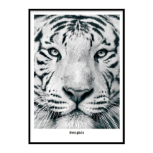 Art cute tiger frame