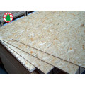 Best cheap osb plywood manufacturers
