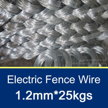 Iron Wire/Electric Fence Wire Factory