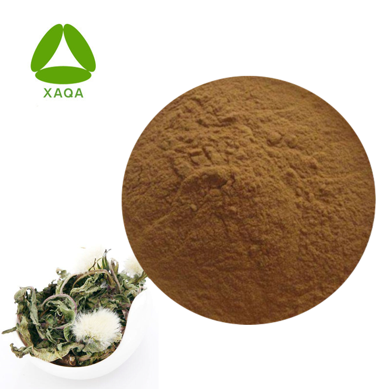 Taraxacum Root Extract Dandelion Flavonoids