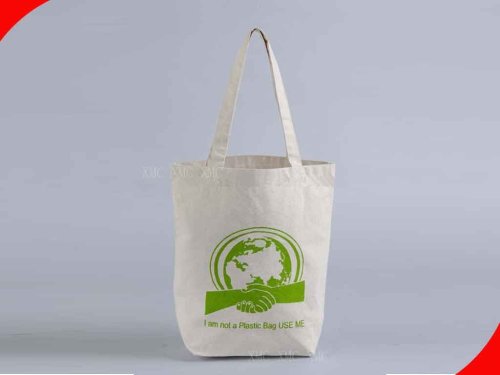 5 Gallons Environmental Ladies Cotton Canvas Custom Reusable Shopping Bags For Storage