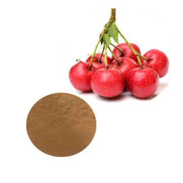 Natural Hawthorn Extract Powder Supplements