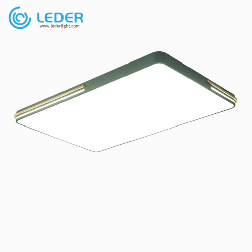 Lâmpadas LED Decorativas de Teto LEDER