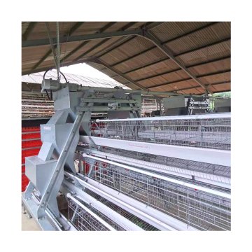 Poultry Farm Equipment: 10,000 Egg-Laying Hen Battery Cages