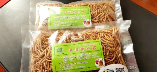 Protein-Rich Dried Mealworms for export