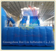 Rui Lin inflatable dolphin slide,inflatable dry slide with wave ladder