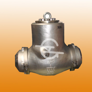 Bw Swing Check Valve