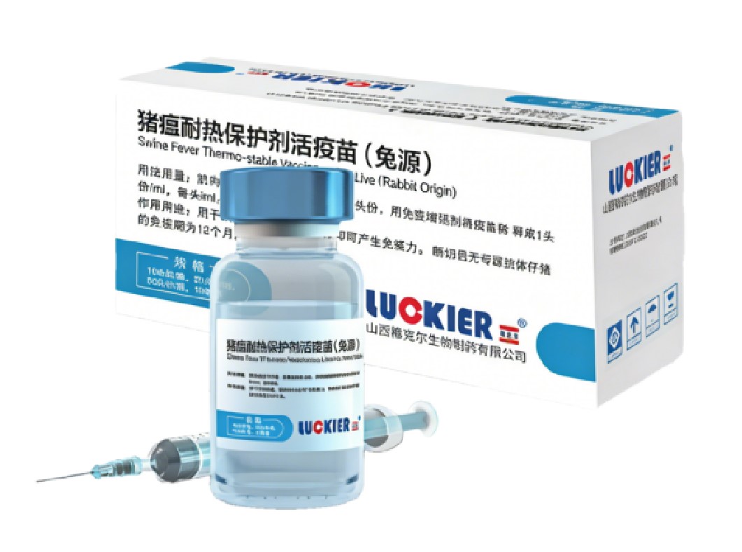 Vaccin thermostable contre la peste porcine Luckier, vivant (origine lapin) Luckier-Swine Fever Thermo-stable Vaccine,Live(Rabbit Origin)