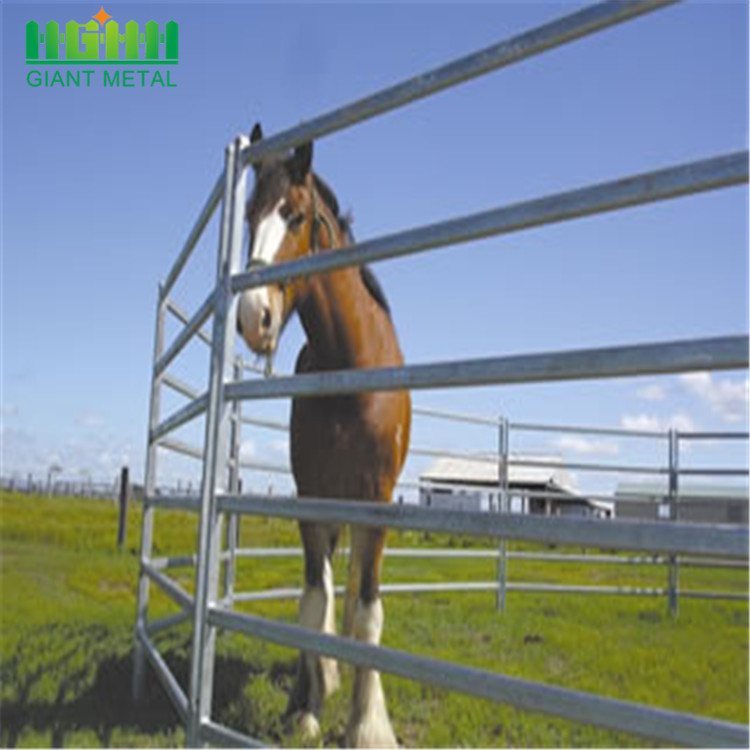 Eco Friendly Metal Frame Material horse fence panels