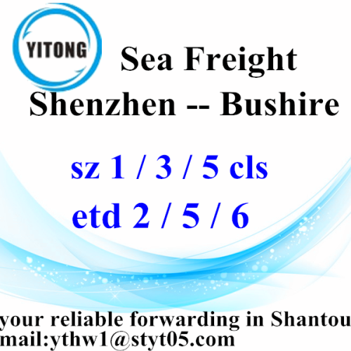 Shenzhen International Fracht Lieferung an Bushire