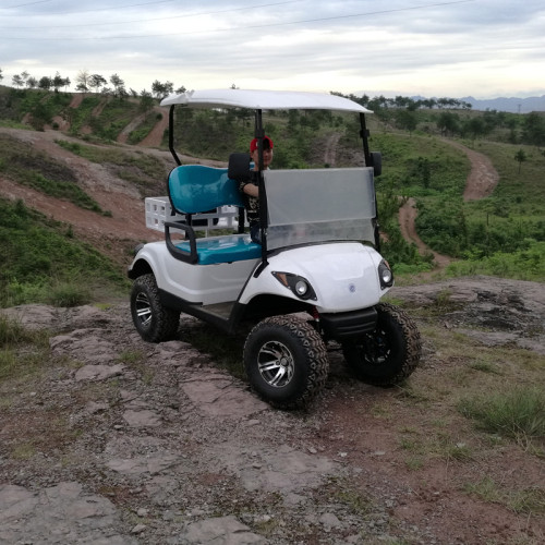 300cc 2 kursi mobil golf gas untuk dijual