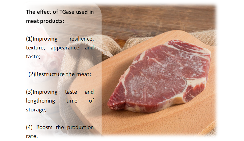 Transglutaminasa para carne Transglutaminase for meat