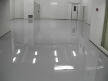 Solvent-free transparent epoxy resin varnish