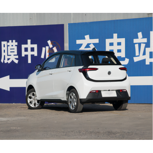 „EV Small Elecot Car 2023“ įkraukite 408 km ridą