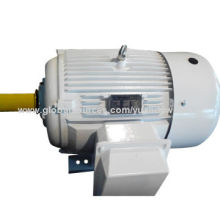 Nema series high effective electric motor