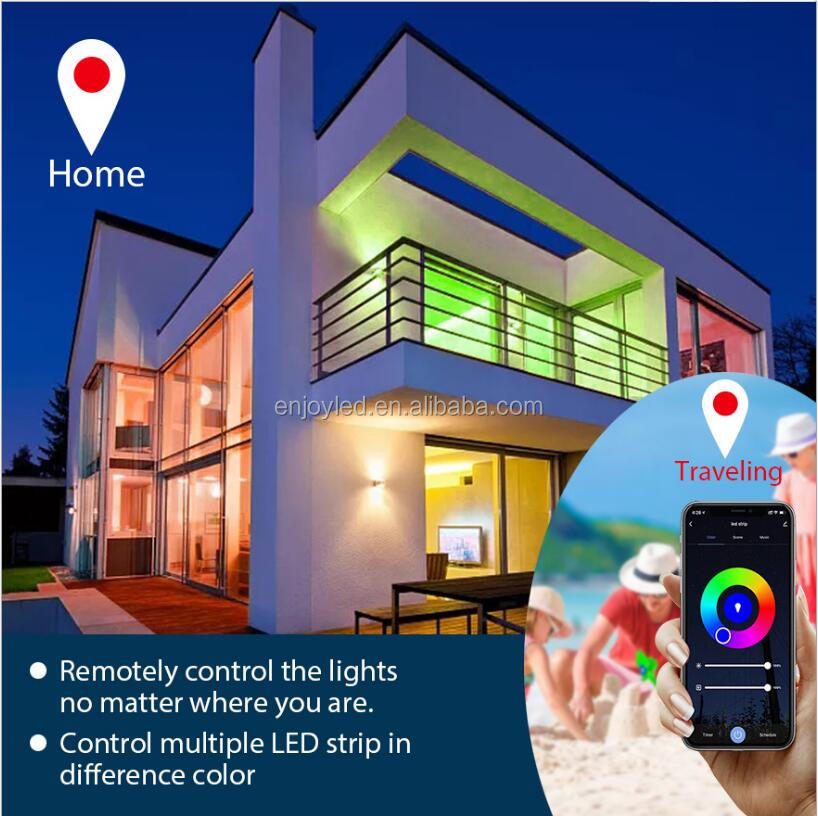 Smart Amazon Alexa Google Home Tuya Wifi BT IP65 Flexible Waterproof Addressable LED Luces Neon 5050 Rgb Kits Led Strip Lights