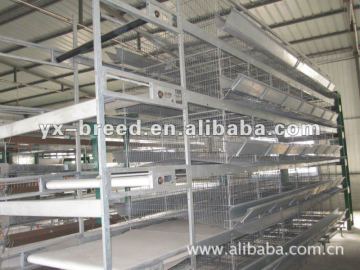 broiler poultry feed cage