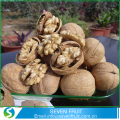 Di walnut Chandler Shell dan dibuang kulit