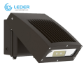 LEDER Black Down LED Outdoor Wall Light