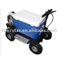 Outing Gasline Cooler Scooter