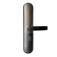 Fingerprint Entry Smart Door Lock