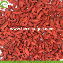 Toptan Tatlı Kuru Pestisit Goji Berry