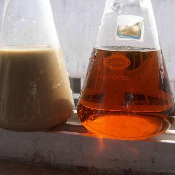 Fermentation Broth Clarification Filter