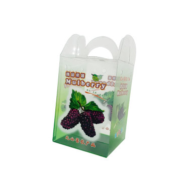 Pembungkusan kotak plastik mulberry