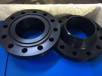 Stainless Steel Forged Flanges